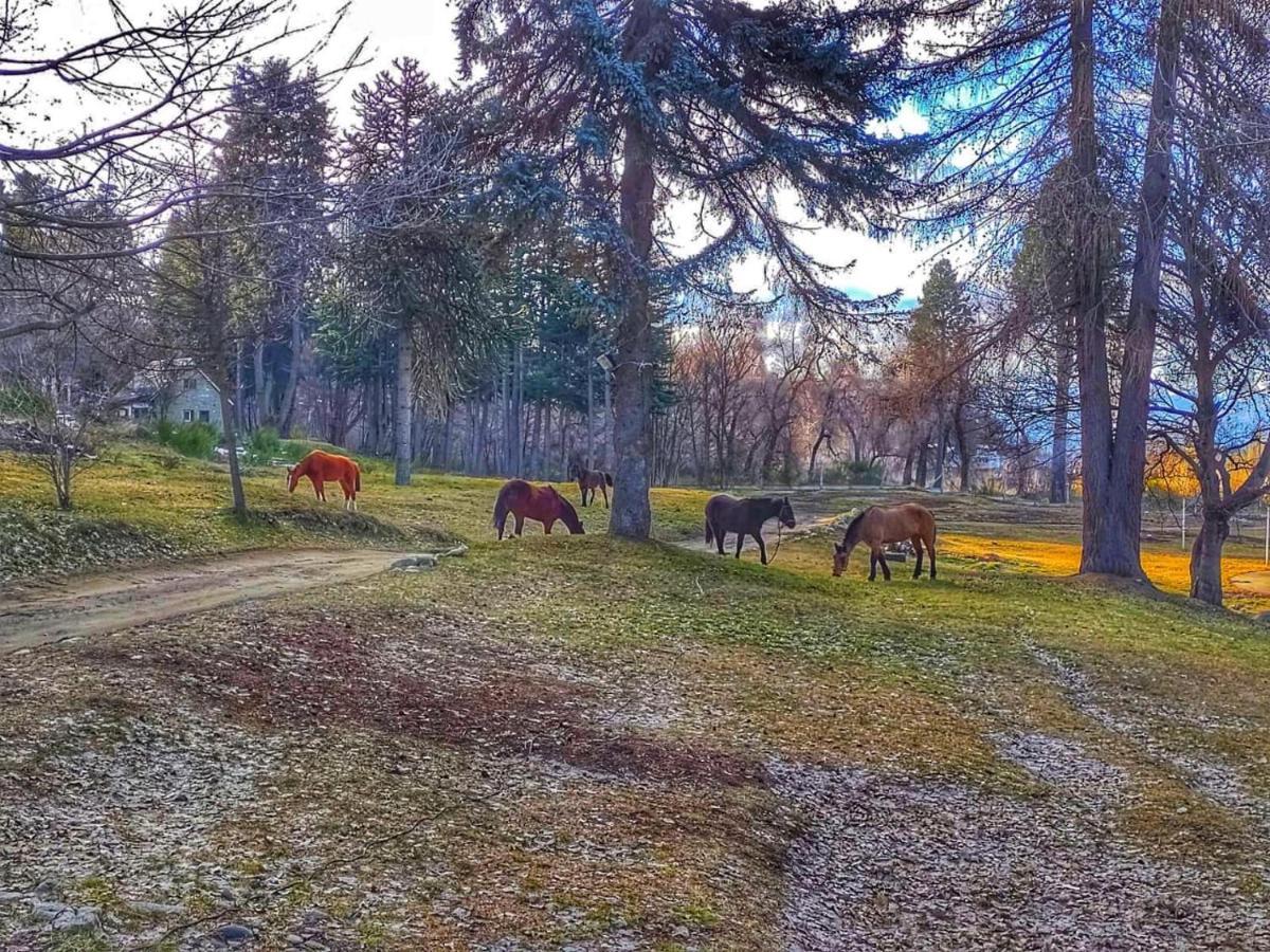 Posada Del Nireco ซานคาร์ลอส เด บาริโลเช ภายนอก รูปภาพ
