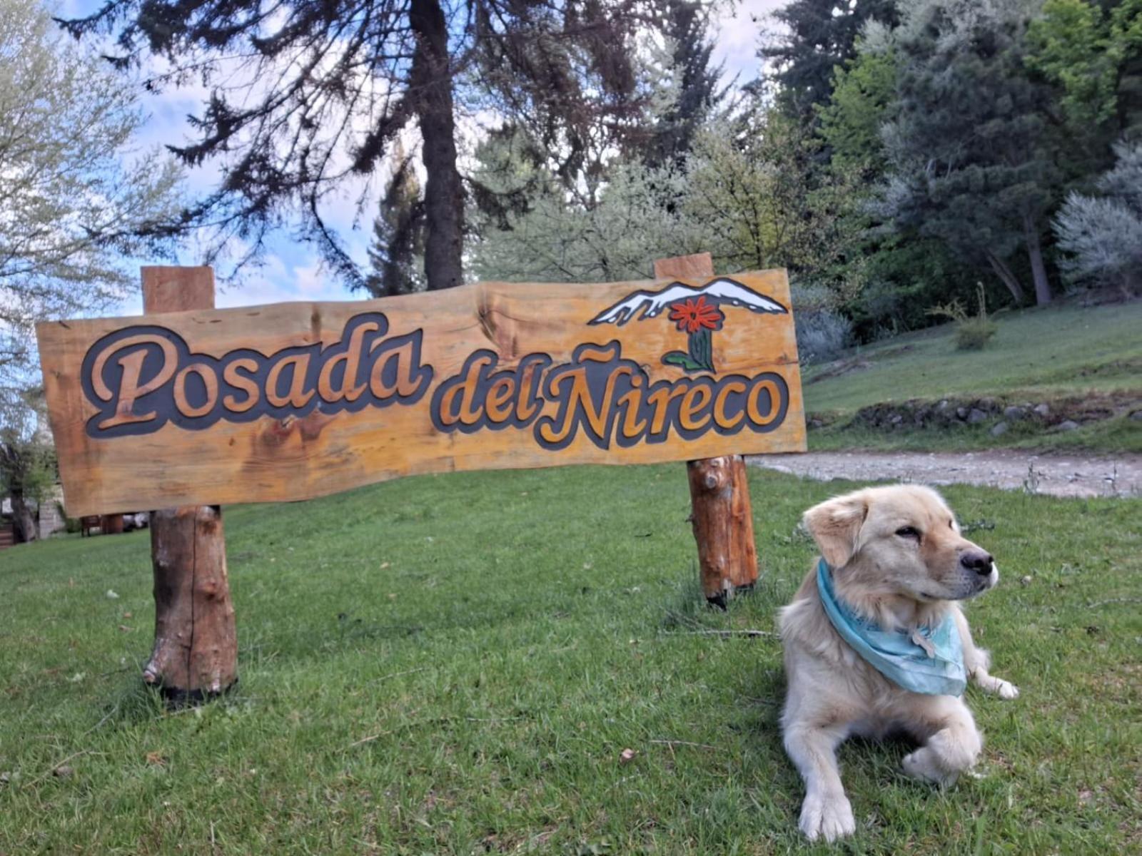 Posada Del Nireco ซานคาร์ลอส เด บาริโลเช ภายนอก รูปภาพ